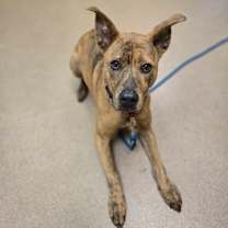 Thumbnail photo of Remi #3