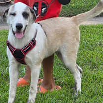 Thumbnail photo of Kolby #2