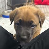 Thumbnail photo of Happy #1