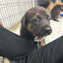 Thumbnail photo of Elf #2