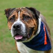 Thumbnail photo of Fabio #1