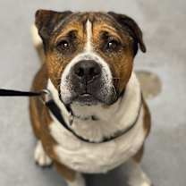 Thumbnail photo of Fabio #2