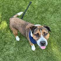 Thumbnail photo of Fabio #4