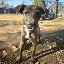 Thumbnail photo of Blakely #1