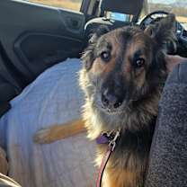 Thumbnail photo of Mia #2