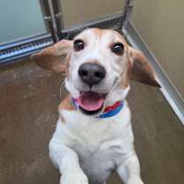 Thumbnail photo of Cyclone #1