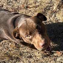 Thumbnail photo of Gage #1