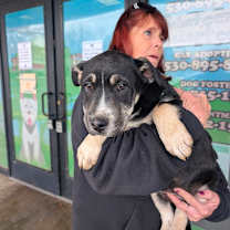 Thumbnail photo of Titan #2