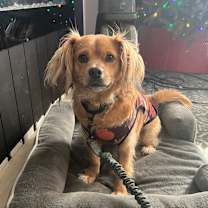 Thumbnail photo of Winston #1