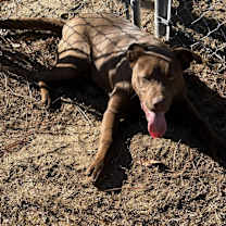 Thumbnail photo of Gage #3