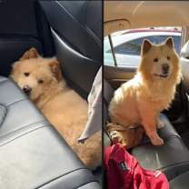 Thumbnail photo of Soju #4