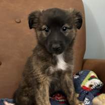 Thumbnail photo of Toast #1