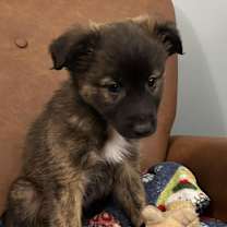 Thumbnail photo of Toast #4