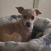 Thumbnail photo of Walter #3