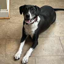 Thumbnail photo of Diamond #1