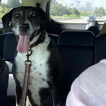 Thumbnail photo of Diamond #2