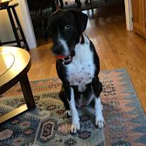 Thumbnail photo of Diamond #3