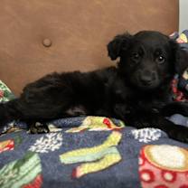 Thumbnail photo of Kiss #4