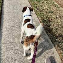 Thumbnail photo of Otis #3