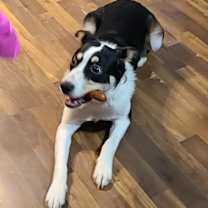 Thumbnail photo of Tux #3