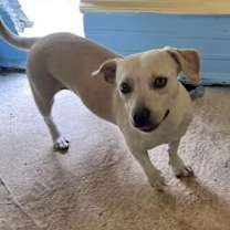 Thumbnail photo of Amy #3