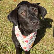 Thumbnail photo of Jasmine #1