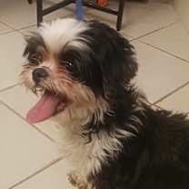 Thumbnail photo of Misha #4