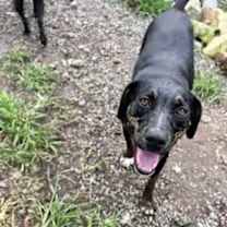 Thumbnail photo of Wasabi #3