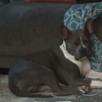 Thumbnail photo of Montana #1