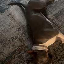 Thumbnail photo of Montana #2