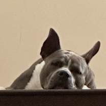 Thumbnail photo of Montana #3