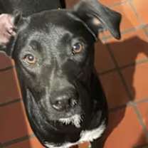 Thumbnail photo of Mimi #2