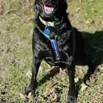 Thumbnail photo of Zeek #2