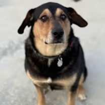 Thumbnail photo of Kobe #4