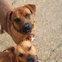 Thumbnail photo of Lois #3