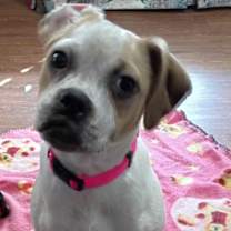 Thumbnail photo of Kyrie #1