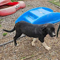 Thumbnail photo of Lyric #2