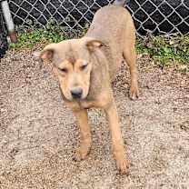 Thumbnail photo of Whimsy #4