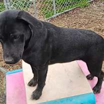 Thumbnail photo of Wilma #2