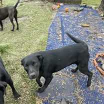 Thumbnail photo of Wilma #4