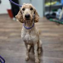 Thumbnail photo of Live Free #1