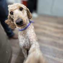 Thumbnail photo of Live Free #2