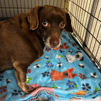 Thumbnail photo of Benjamin Button #2