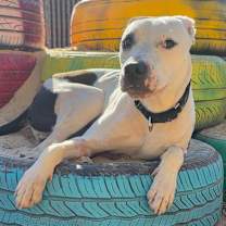 Thumbnail photo of Thanksgiving #1