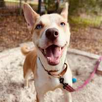 Thumbnail photo of MiaVinci #1