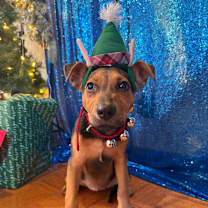 Thumbnail photo of Mabel #1