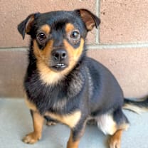 Thumbnail photo of Bingo #2