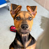 Thumbnail photo of Mabel #2