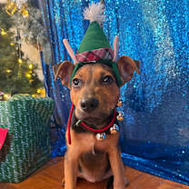 Thumbnail photo of Mabel #3