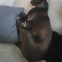 Thumbnail photo of Tank #2